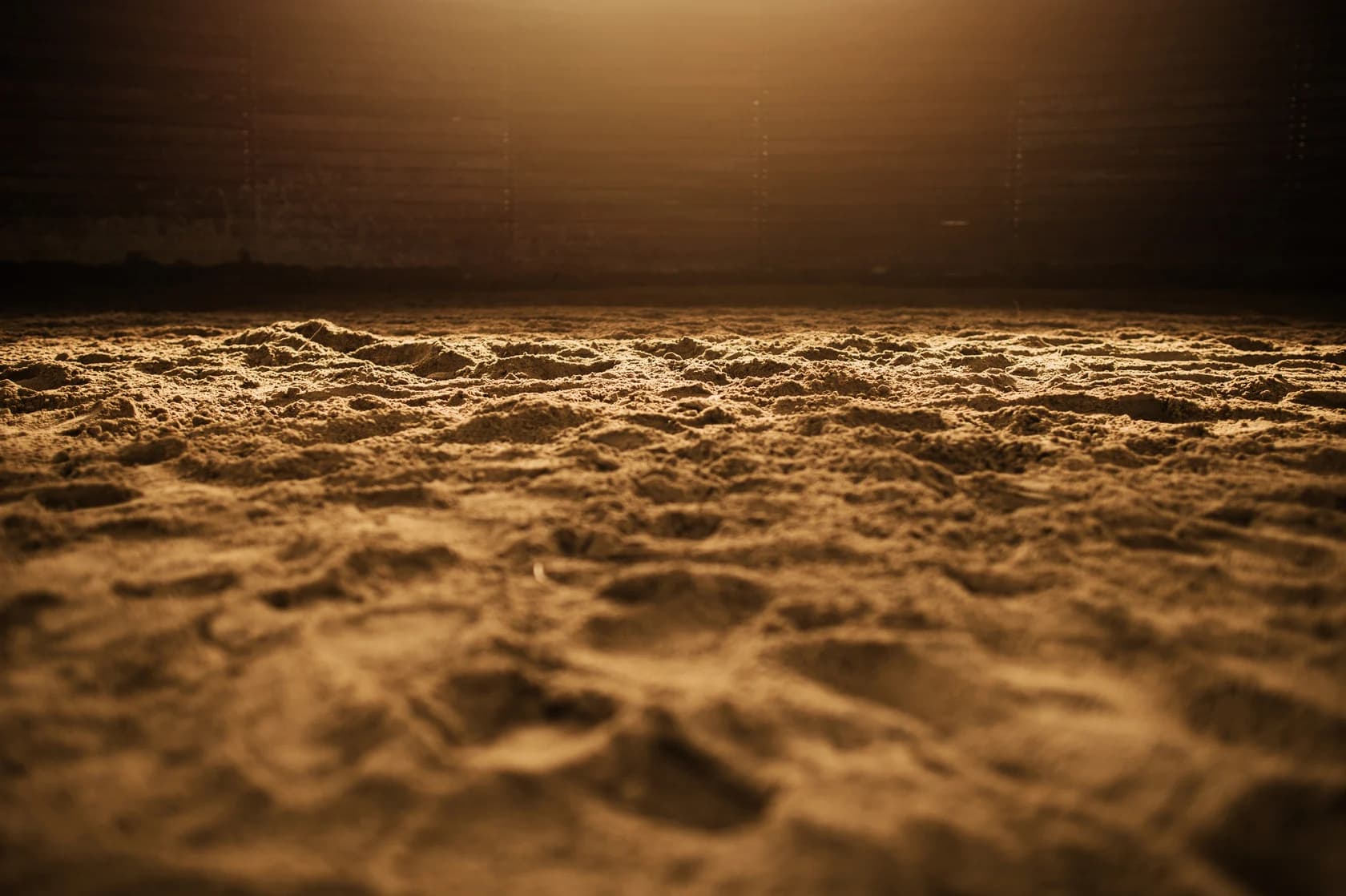 Sandy Arena